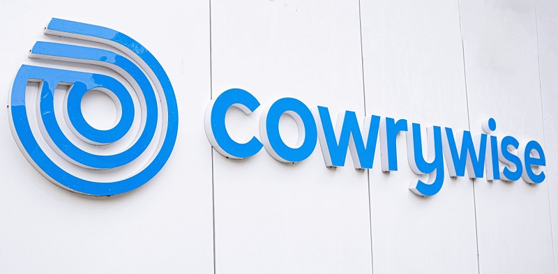 Who is the Owner of Cowrywise: Everything You Need to Know
